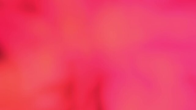 Coral red, hot pink and warm orange flowing gradient, seamless loop animation background template, vivid motion, soft blur, modern abstract design
