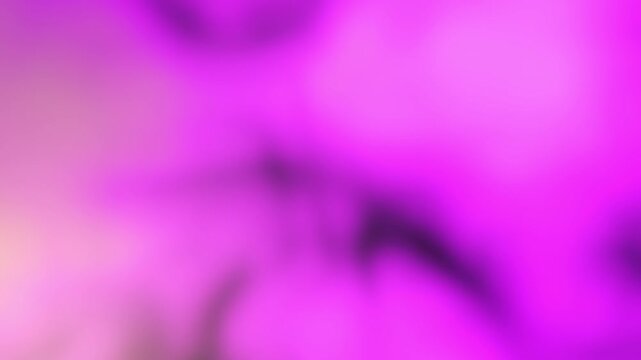 Vivid magenta, violet and hot pink blurred forms with deep purple shadows, wide seamless loop animation background template