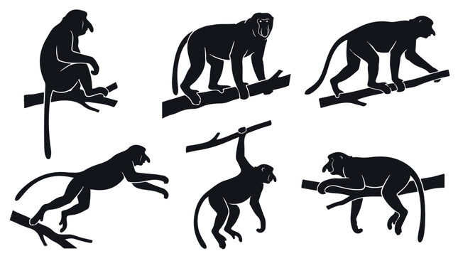 A set of six proboscis monkeys in various poses silhouette vector illustration on a white background
