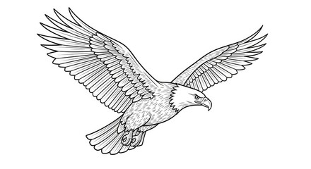 Naklejka premium An eagle soars through the air with its wings fully extended. The majestic bird is depicted in a detailed black and white line art style.