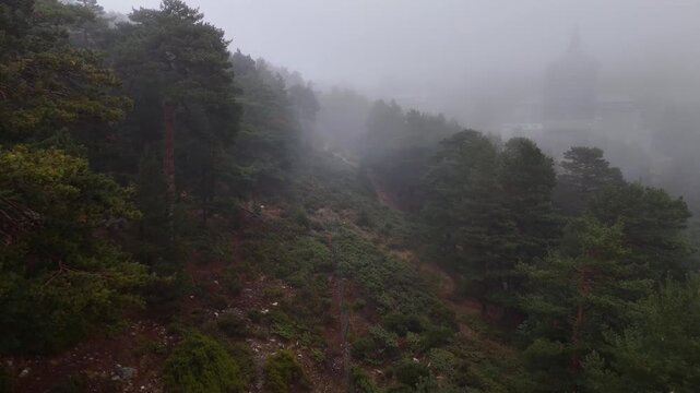 Aerial drone footage of Puerto de Navacerrada in the Sierra de Guadarrama, Madrid, Spain, covered in dense fog, with a hiking trail through pine forest