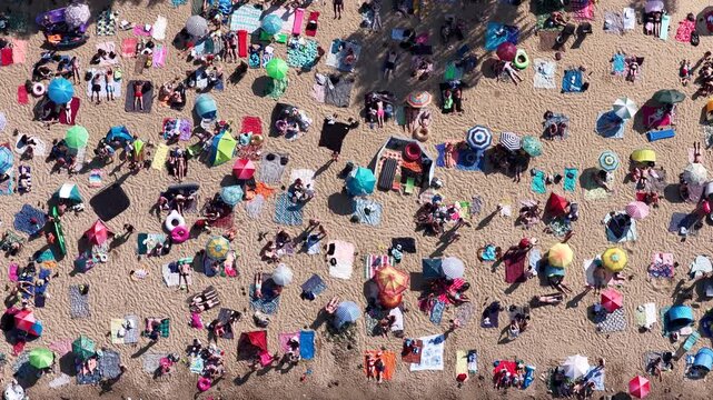 Aerial drone view of a crowded summer lake beach with people swimming and sunbathing. Colorful umbrellas, water obstacle course on lake, on a sunny day. Lake Pogoria in Dabrowa Gornicza, Poland