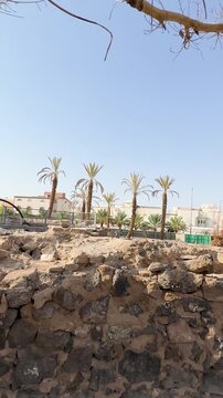 Stone ruins, large trees, and palms at the historic site of the othman well.