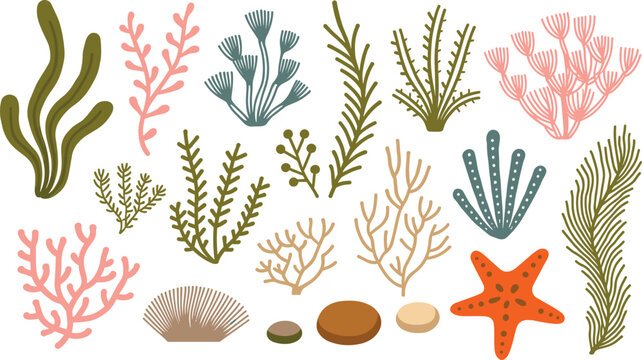 Seaweed and coral reef vector elements set isolated on white background underwater ocean plants starfish seashell collection