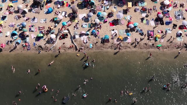Aerial drone view of a crowded summer lake beach with people swimming and sunbathing. Colorful umbrellas, water obstacle course on lake, on a sunny day. Lake Pogoria in Dabrowa Gornicza, Poland