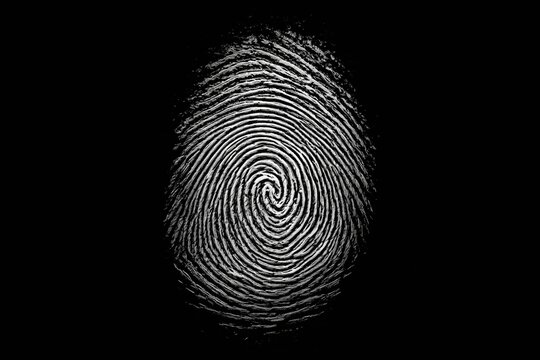 Fingerprint scan. Biometric fingerprints
identification, security system thumb lines
authentication. Digital fingerprint scan
vector illustration set. Fingerprint and
thumbprint, digital security 