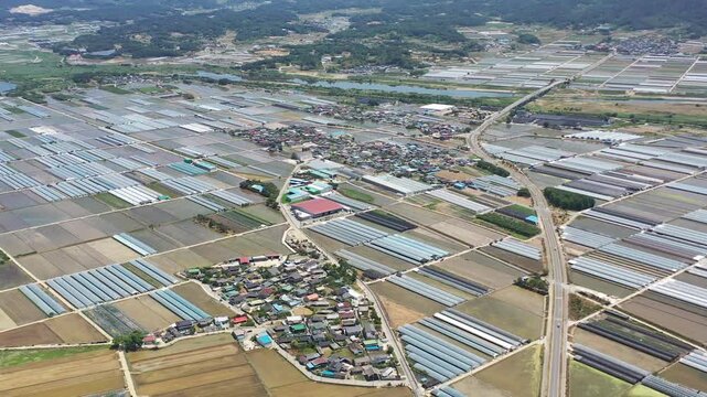 Gokseong greenhouse smart farm melon agriculture cultivation production distribution fruit vegetable complex farm 멜론 재배 온실 농가 단지 곡성 비닐하우스 농업 농사 농촌 농민 스마트팜 유통 판매 생산 농산물 과일 채소 야채 한국