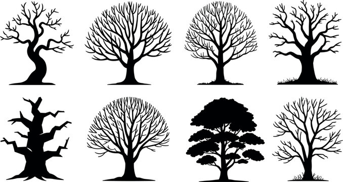 Bare dead winter trees and foliage silhouettes set spooky branched trunks collection for halloween forest nature vector graphic design