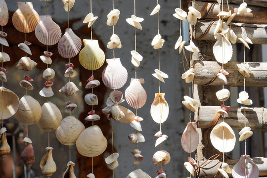 Handmade seashell wind chimes hanging outdoors in sunlight