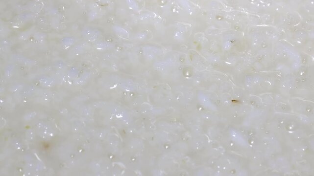 Korea rice wine makgeolli brewing process nuruk taro ingredient brewery alcohol liquor 한국 막걸리 제조과정 막걸리재료 누룩 쌀 토란 주조 양조 술 쌀막걸리 발효 가공 생산 식품 원료 곡물