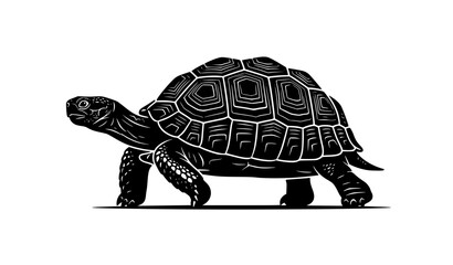 Fototapeta premium Turtle Tortoise Silhouette Vector Illustration, Black Reptile Walking Isolated on White Background Clipart