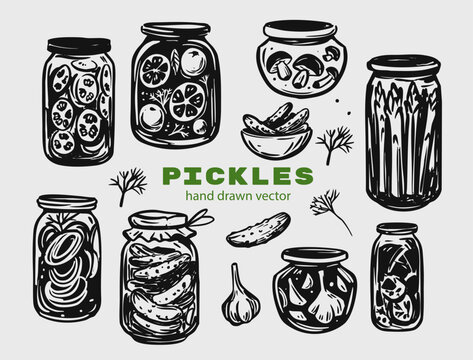 Pickles, cucumbers in jars, preserves,  set of  hand drawn illustrations