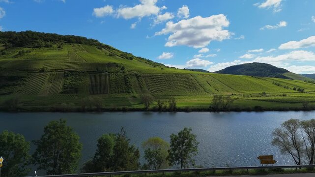 Mosel River and Steep Vineyards Near Zell Germany