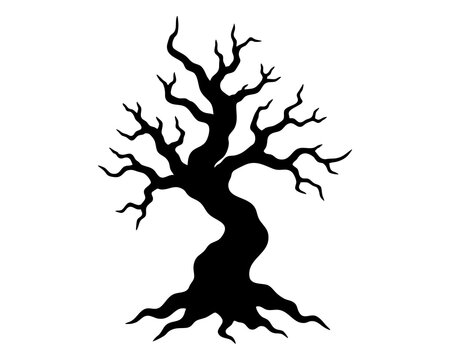 Slender twisted tree with a serpentine trunk sharp branching crown and trailing roots creating a mysterious woodland symbol shaped by wind autumn decay and haunted folklore