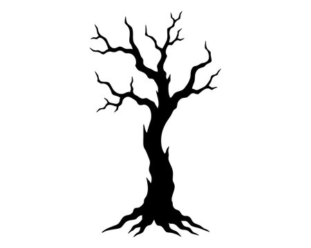 Tall sparse dead tree with a narrow weathered trunk a few sharply forked branches and subtle roots expressing winter silence abandoned woodland and stark natural resilience