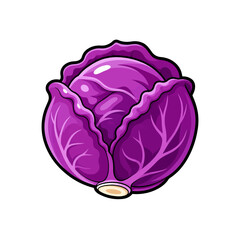Obraz premium Purple Cabbage Vector