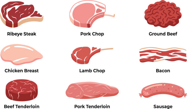 Raw Meat and Poultry Vector Icon Set with Ribeye Steak Pork Chop Ground Beef Chicken Breast Bacon Tenderloin and Sausage for Butcher Shop Logos
