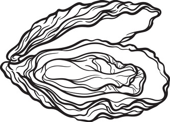 Line art illustration of raw oyster shell in hand drawn vintage style for seafood menu design. © Abdullah