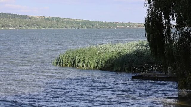 Rippling lakeshore landscape with curved reed promontory, willow branches, dock railing, blue water, sunlight reflections, marsh shoreline, calm rural scenery and distant horizon