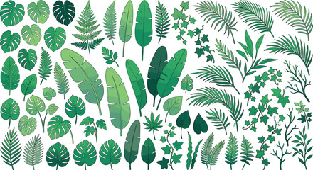 Green tropical leaves vector element collection featuring hand drawn cartoon sketches of banana fronds monstera fern and climbing ivy vines on white © Sumaiya Akter Sweety