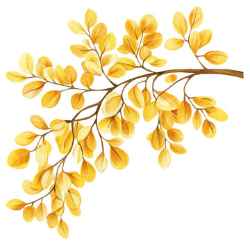 Golden Rain Tree Branch, watercolor clipart showcasing whimsical details and harmonious color flow, isolated on a white background.