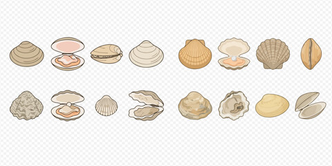 Collection of various types of clams, oysters, and scallops, showcasing different bivalve mollusks in a detailed illustration. © Akun