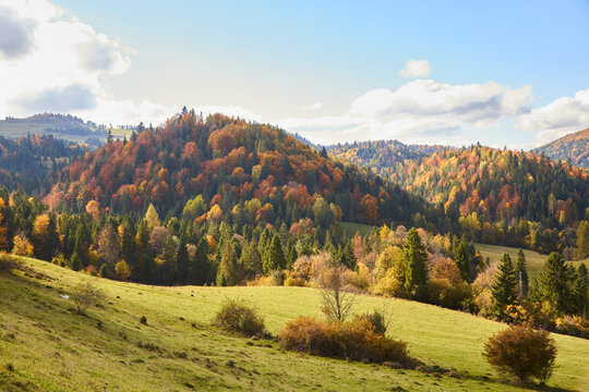 Panoramic view of scenic autumn landscape in the mountains. Fall season nature background.