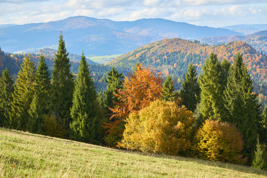 Beautiful autumn mountains layers with colorful trees in the foreground. Pieniny landscape.