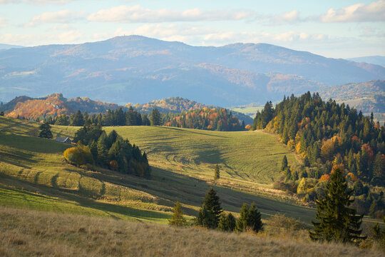 Scenic autumn landscape of Pieniny mountains with rolling hills and long shadows.