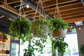 Hanging Indoor Plants Create Cozy Boho Vibe © munirahsamsudin