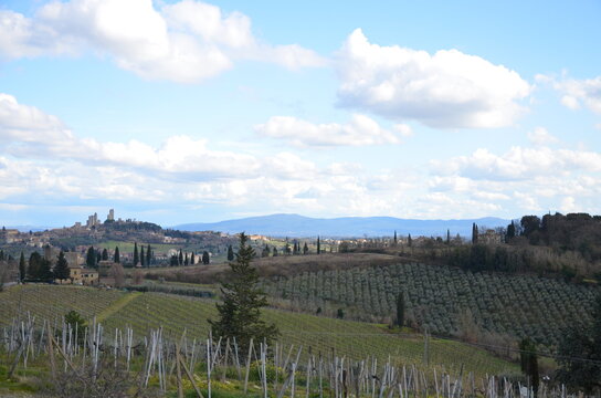 hilly rural landscape, typical of the Italian countryside