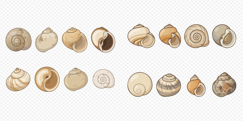Set of various hand-drawn sea shells and snail shells collection, perfect for marine and nature-themed designs. © Akun