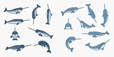 Set of cartoon narwhals in various poses, featuring the 'unicorn of the sea' in different angles and perspectives, isolated on a transparent background for easy use. © Akun