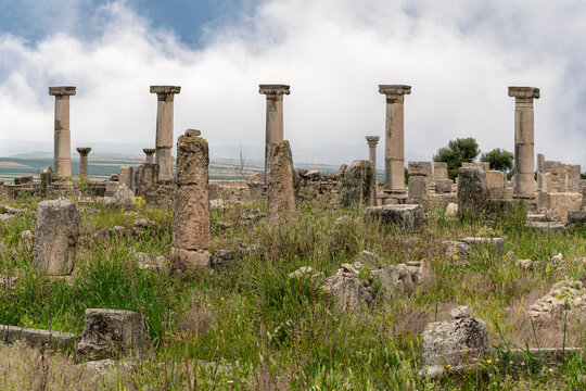 Row of Standing Columns in the House of the Marble Bacchus, Volubilis, Morocco