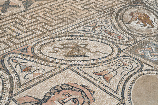 Mosaic with Animal Figures in the House of the Labours of Hercules, Volubilis, Morocco