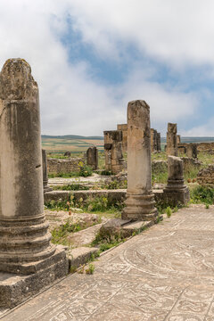Courtyard Columns in the House of the Labours of Hercules, Volubilis, Morocco