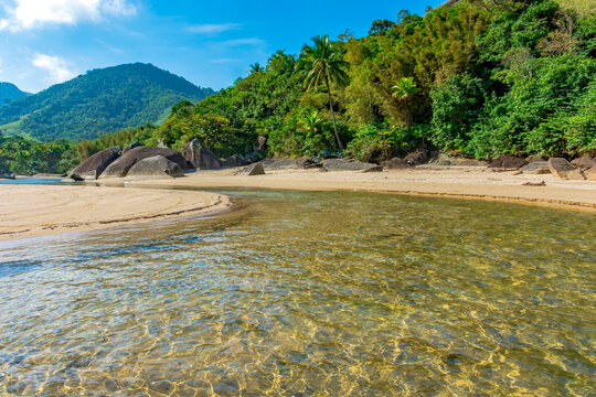Stream flowing across the sand and forest at Bonete Beach in Ilhabela.
