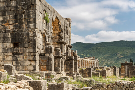 View of the Arch of Caracalla from the House of Ephebe, Volubilis, Morocco