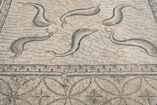 Snake Mosaic Close-up in the House of Orpheus, Volubilis, Morocco