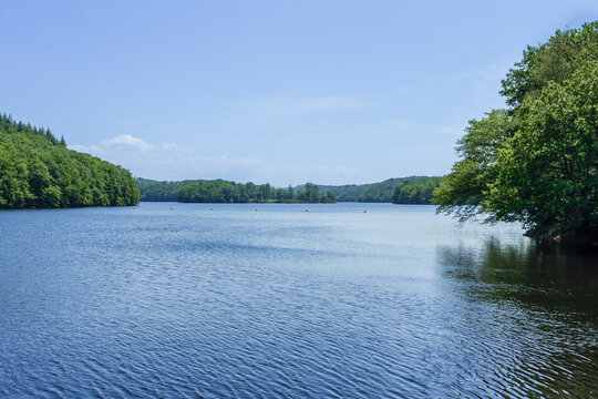 Lake surrounded by forest in summer, Lac de Panneciere, Panneciere Lake in Morvan Regional Nature Park, Nievre department, France