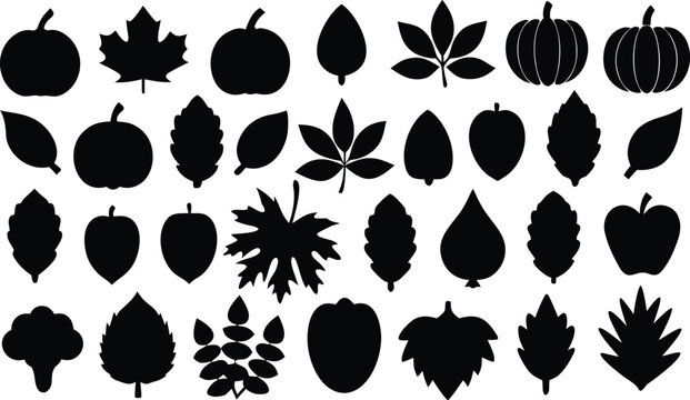 Set of black autumn leaves and pumpkin silhouettes isolated on transparent background, Vector