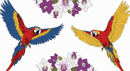 Flying Scarlet Macaw Parrots with Orchid Flowers Vector © NafiCraft