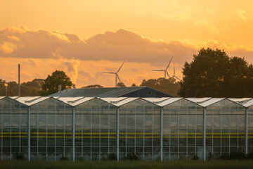 Netherlands agriculture combining greenhouses and wind turbines for sustainable food production and renewable energy at sunset © Víctor Sánchez