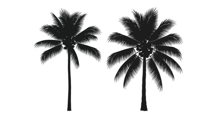 Obraz premium Coconut Tree Silhouettes Against A White Background