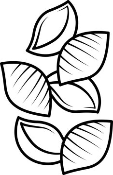 Outline Illustration of Conchiglie Pasta Shapes