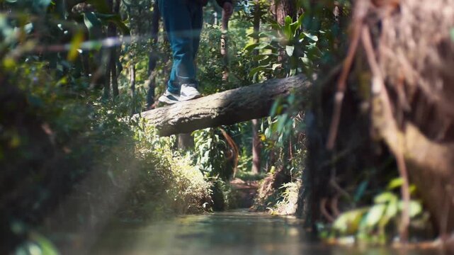 Low angle of a person balancing on a fallen log bridge over a small stream in a sunny forest with beautiful lens flare