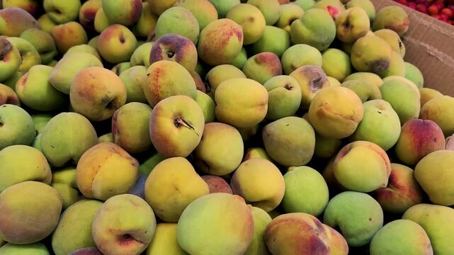 Fresh peaches (Prunus persica) displayed in the produce section of a supermarket, recorded in 4K at 60fps