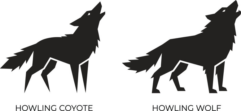  Howling Coyote and Wolf Geometric Silhouette Comparison Vector Illustration on White Background