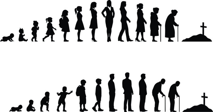 Human life cycle from birth to death represented by silhouettes on white background Keywords: life cycle, human evolution, birth