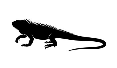 Fototapeta premium Minimalist walking iguana silhouette vector isolated on white background realistic black reptile wildlife profile illustration
